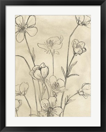 Framed Vintage Wildflowers II Print