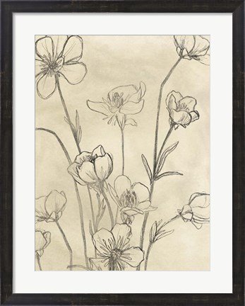 Framed Vintage Wildflowers II Print