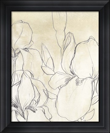 Framed Iris Garden Sketch I Print