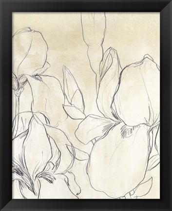 Framed Iris Garden Sketch I Print