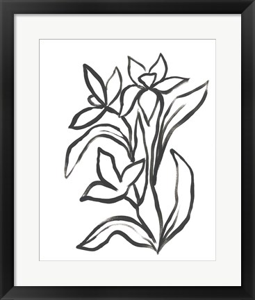 Framed Jonquil Gesture II Print