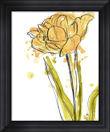 Framed Spring Contours I Print