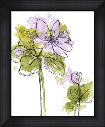 Framed Spring Contours II Print