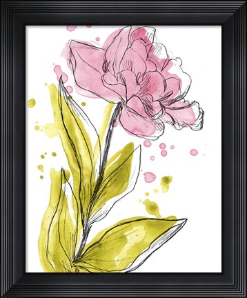Framed Spring Contours V Print