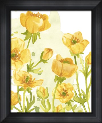 Framed Sunshine Meadow II Print