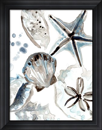 Framed Cerulean Seashells I Print