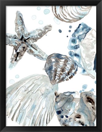 Framed Cerulean Seashells II Print