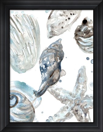 Framed Cerulean Seashells III Print