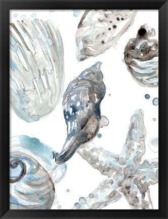 Framed Cerulean Seashells III Print