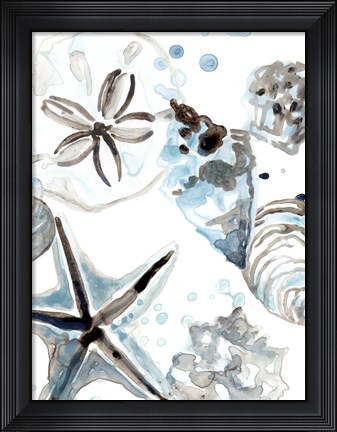 Framed Cerulean Seashells IV Print