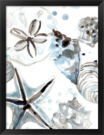 Framed Cerulean Seashells IV Print