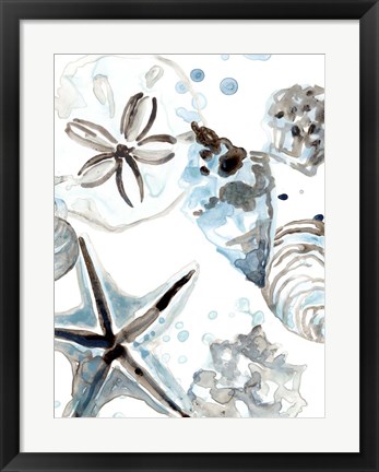 Framed Cerulean Seashells IV Print