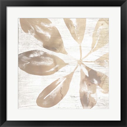 Framed Neutral Palm Fossil III Print