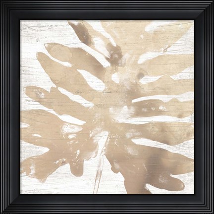 Framed Neutral Palm Fossil V Print