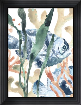 Framed In the Kelp I Print