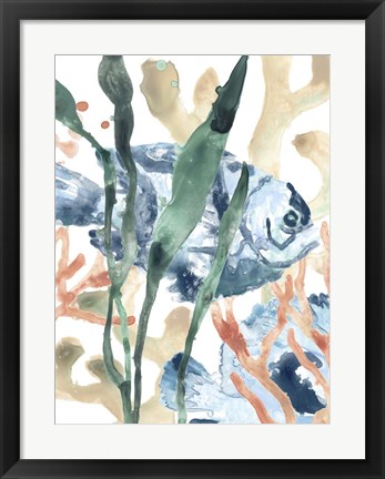 Framed In the Kelp I Print