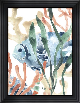 Framed In the Kelp II Print