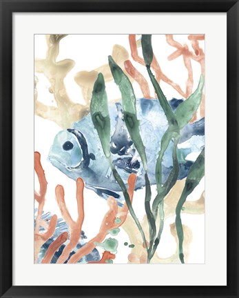 Framed In the Kelp II Print