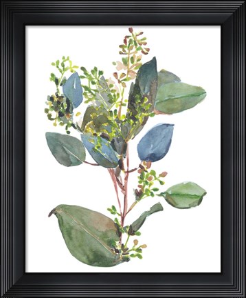 Framed Seeded Eucalyptus I Print