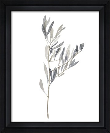 Framed Gentle Breeze II Print