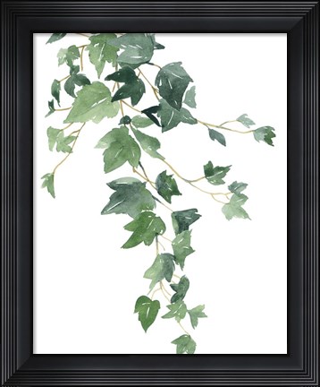 Framed Branch Study I Print