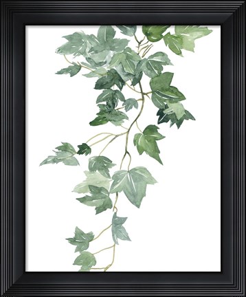 Framed Branch Study II Print