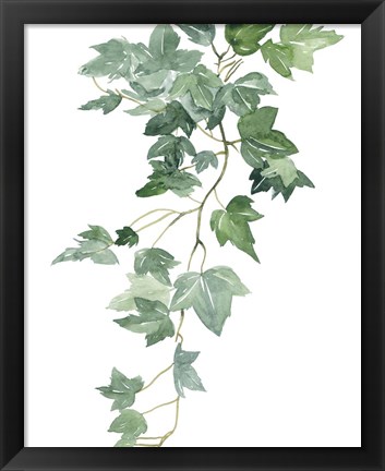 Framed Branch Study II Print