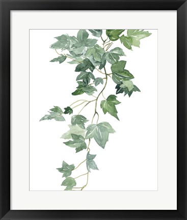 Framed Branch Study II Print