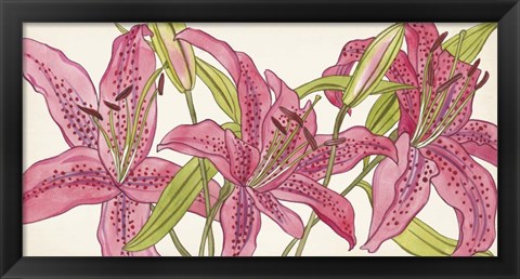 Framed Pink Lilies II Print