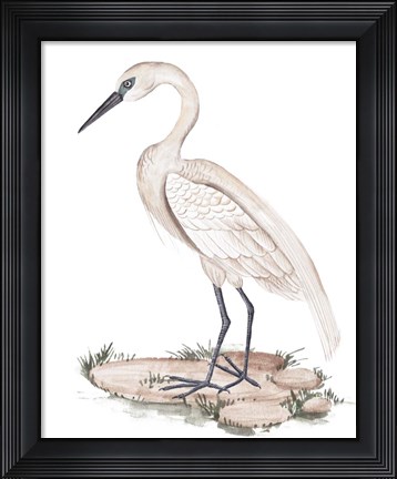 Framed White Heron I Print