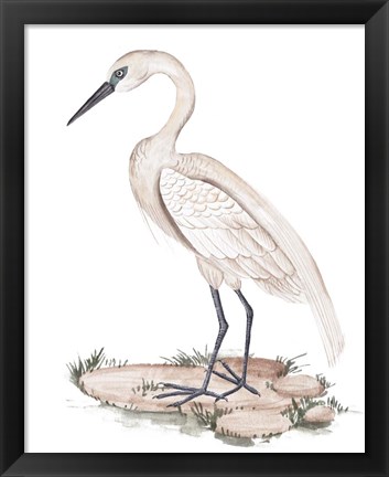 Framed White Heron I Print