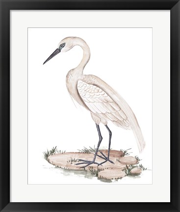 Framed White Heron I Print