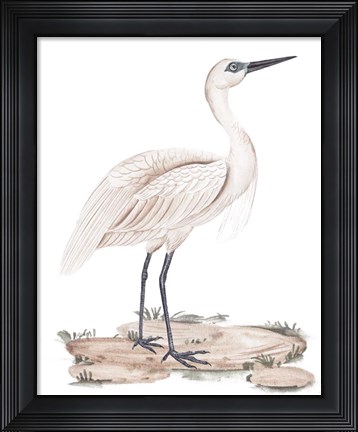 Framed White Heron II Print
