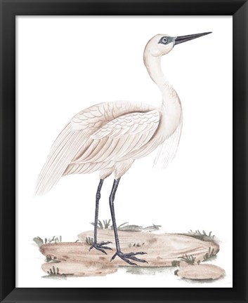 Framed White Heron II Print