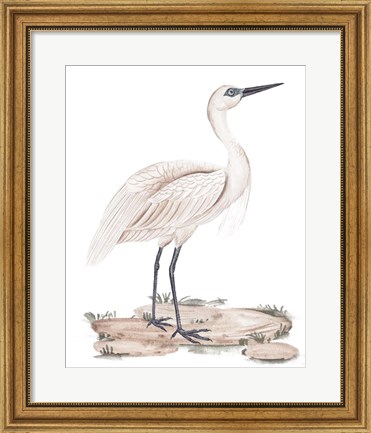 Framed White Heron II Print