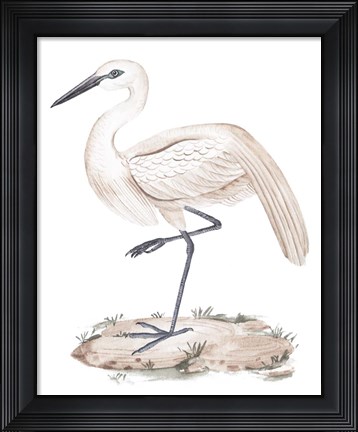 Framed White Heron III Print