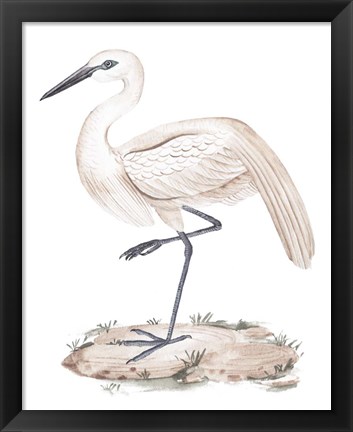 Framed White Heron III Print