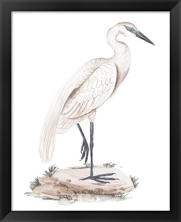 Framed White Heron IV Print