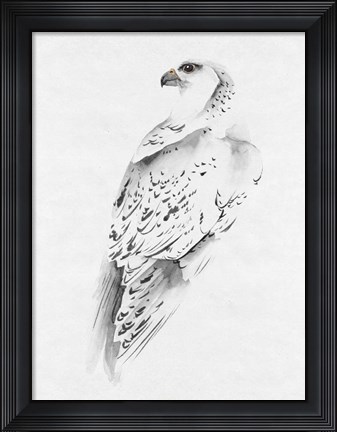 Framed Gyrfalcon I Print