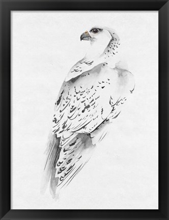 Framed Gyrfalcon I Print