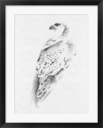 Framed Gyrfalcon I Print