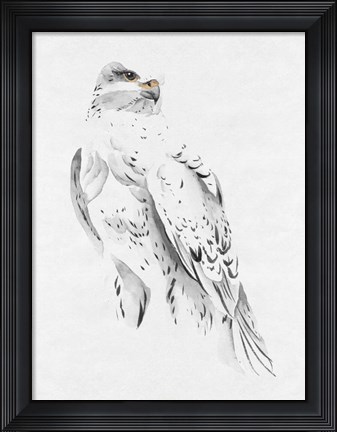 Framed Gyrfalcon II Print