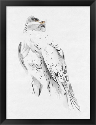 Framed Gyrfalcon II Print