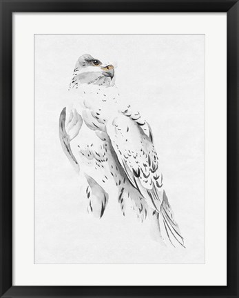 Framed Gyrfalcon II Print