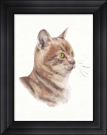 Framed Orange Cat I Print