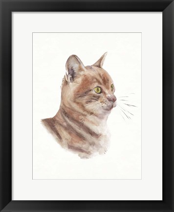 Framed Orange Cat I Print