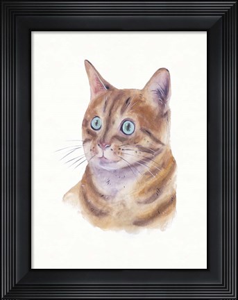 Framed Orange Cat II Print
