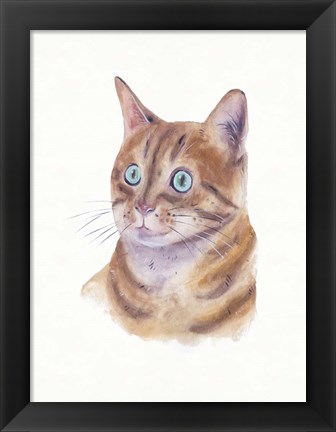 Framed Orange Cat II Print