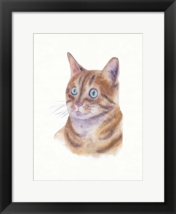 Framed Orange Cat II Print