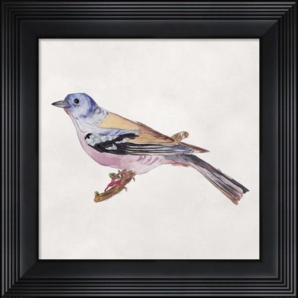 Framed Bird Sketch II Print